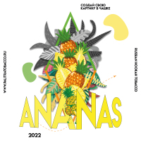 PALITRA - Ananas (������) 40��