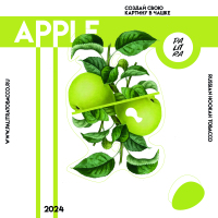 PALITRA - Apple () 40