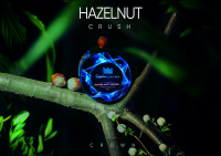 Sapphire Crown - Hazelnut Crush (  ) 25 .