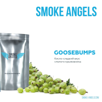    "Smoke Angels" (GOOSEBUMPS), 100 