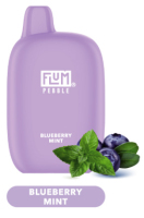 FLUM PEBBLE 6000 - Blueberry Mint 20 mg