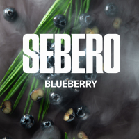 Sebero Classic - Billberry ( ) 100 .